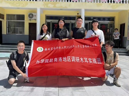 欧美在线
赴金米村木耳考察团在党群服务中心前张晶茹图 (1).jpg