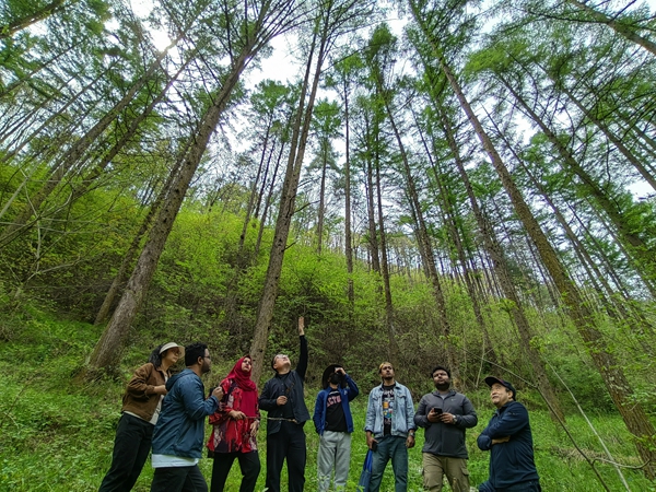 欧美在线
专家带领亚太森林留学生学习森林更新及经济林栽培技术_600副本.jpg